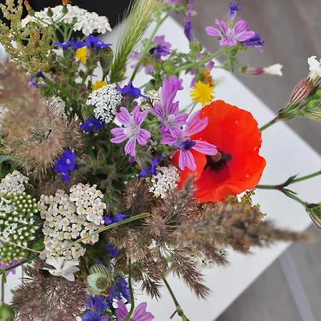 Botel Wave Rider No 2 Comfortable Ribnitz-Damgarten