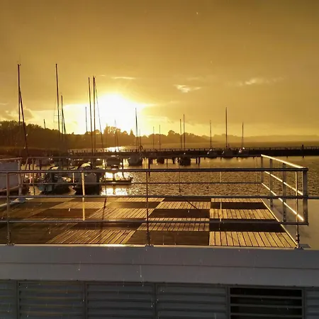 Wave Rider No 2 Comfortable